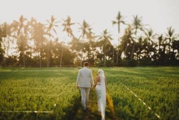 Fiona and Matt's Wedding